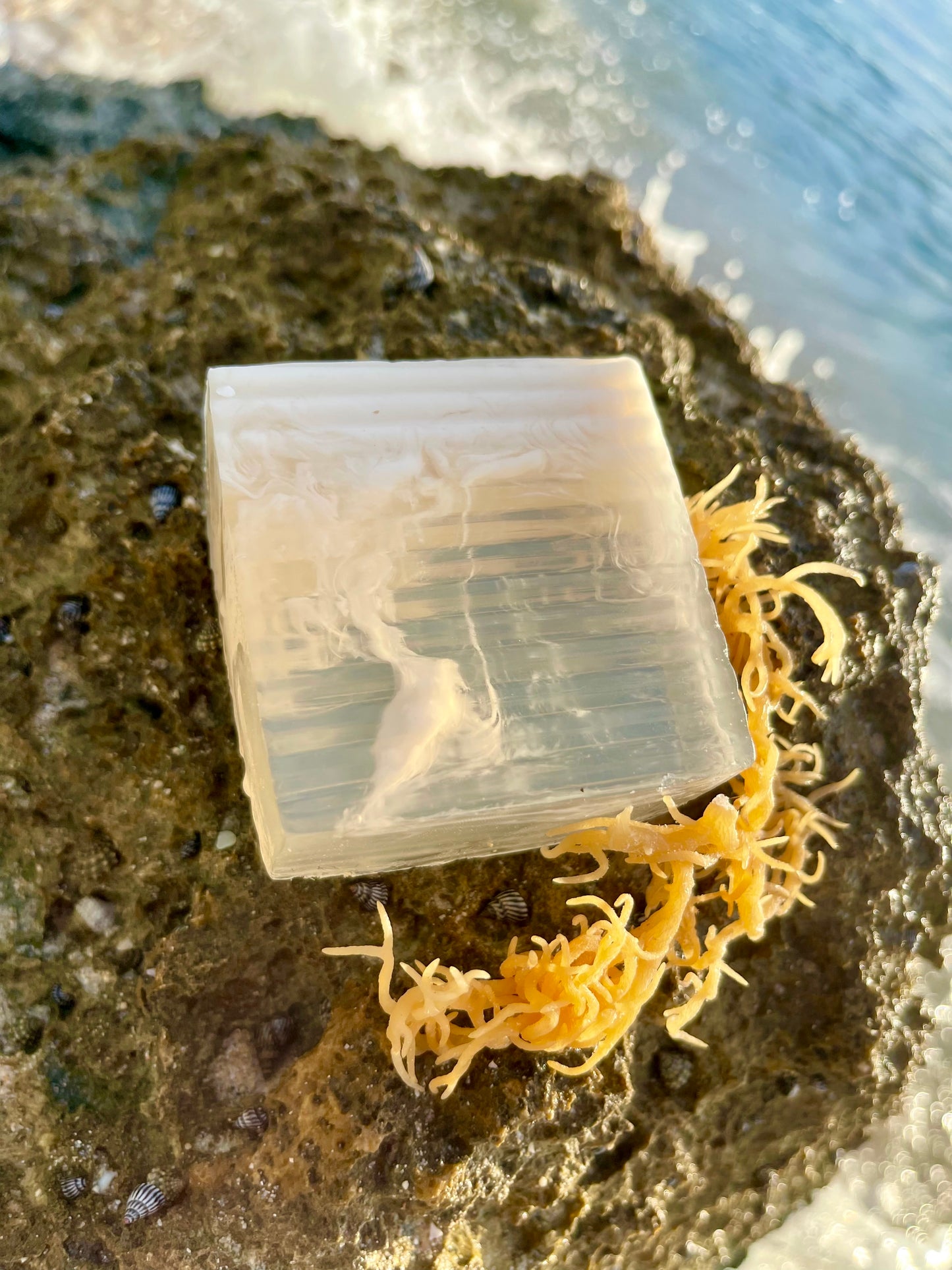 Vitamin Sea Body Soap Bar