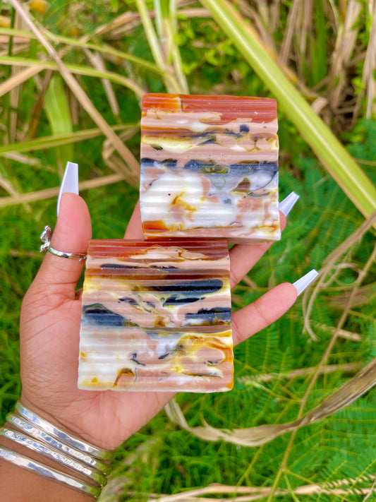 a person holding two multicolored bars of soap outdoors with tree in background.